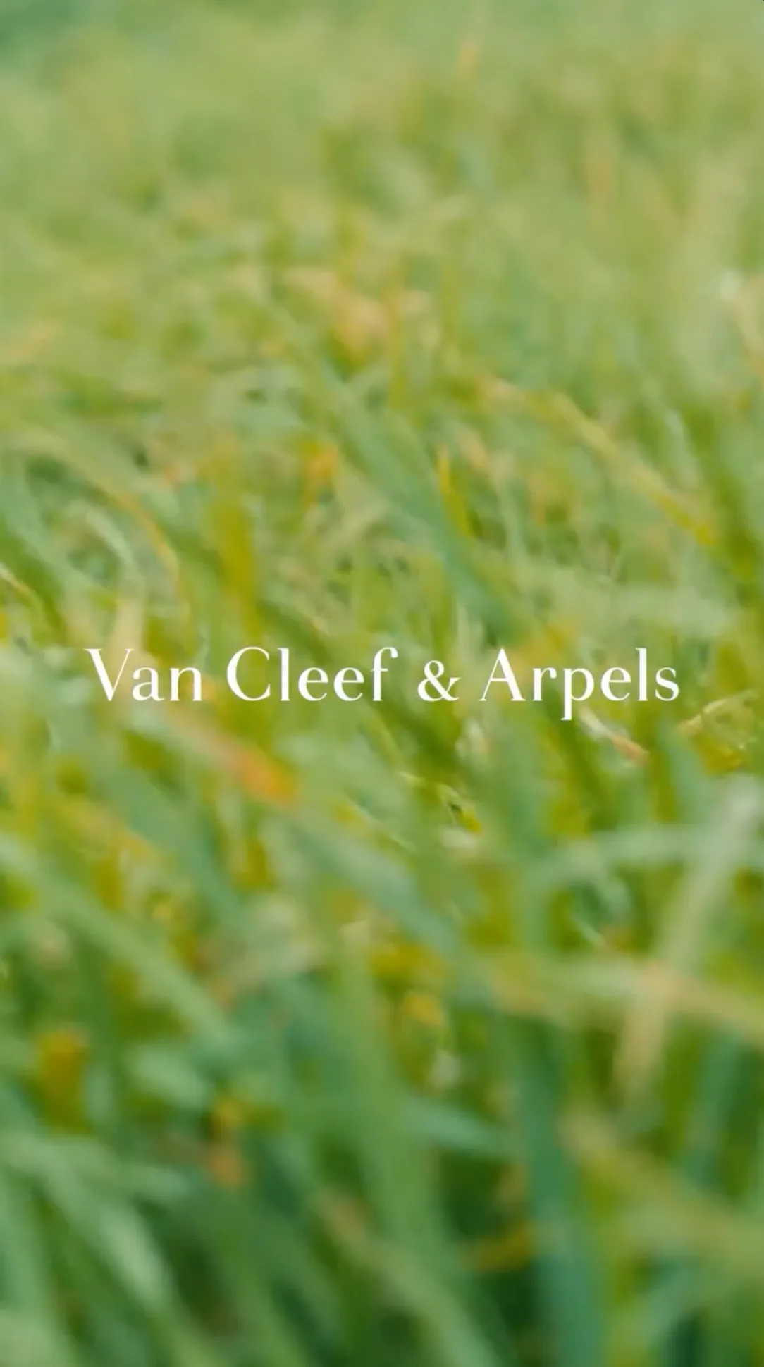 van cleef & arpels, valentine's day, film thumbnail